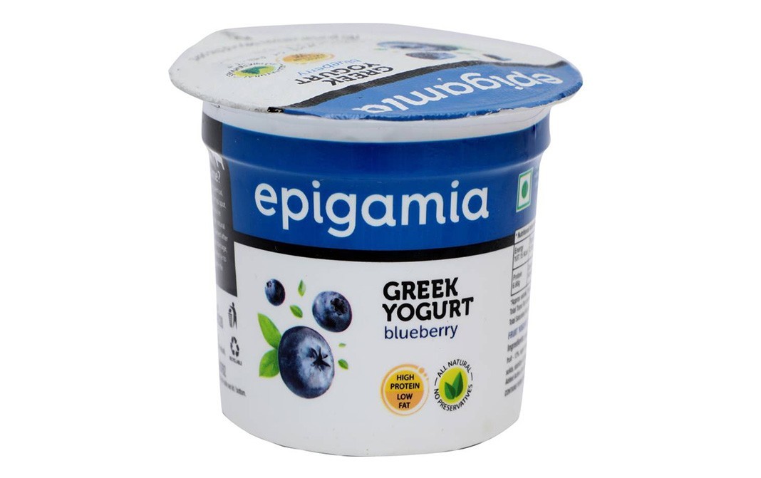 Epigamia Greek Yogurt Blueberry   Tub  90 grams